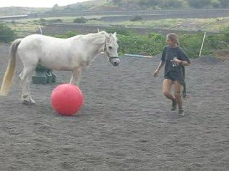 Lady joue à chat et au ballon