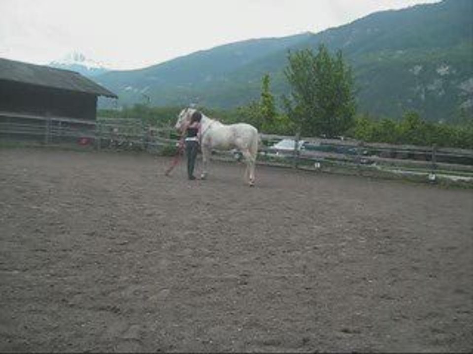 Kazo le 9.05.09_0001