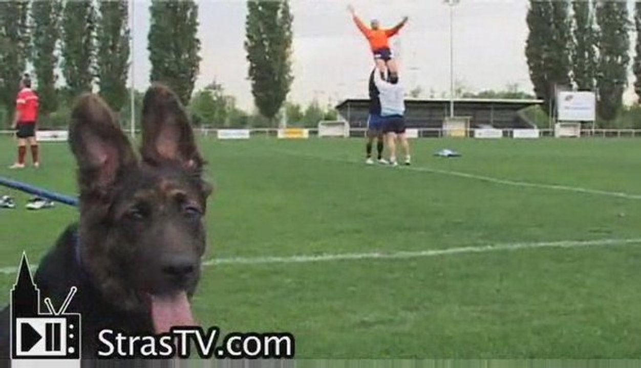 Le Racing Strasbourg Rugby