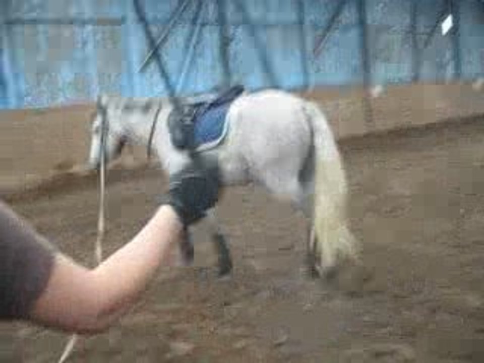 Désensibilisation étriers 2