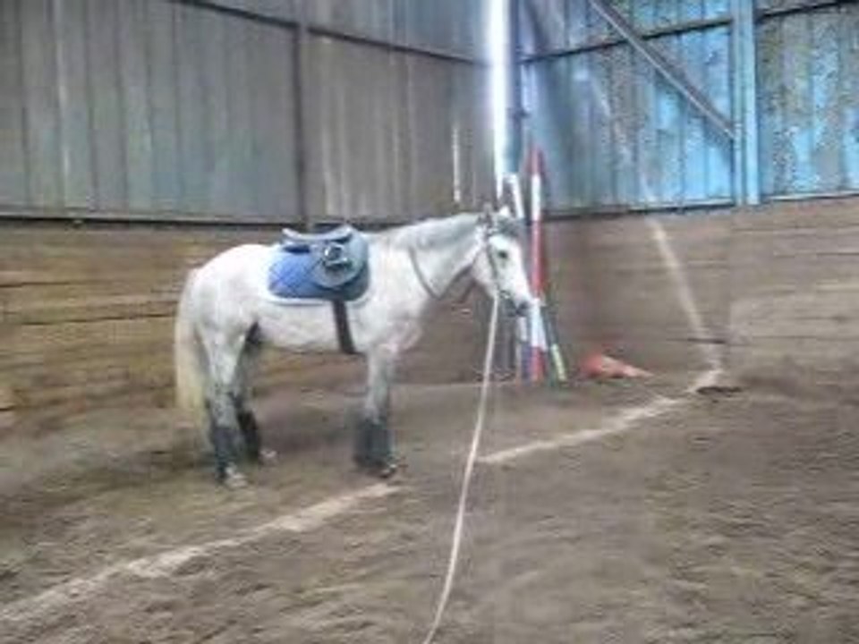 Désensibilisation étriers 3