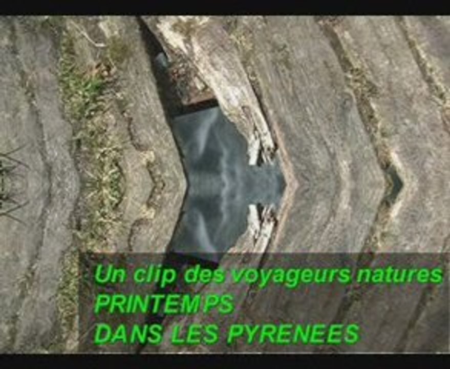 Clip printemps dans les pyrénées