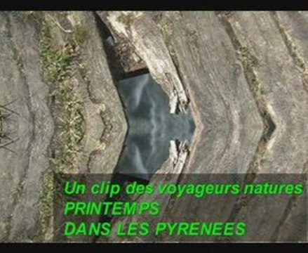 Clip printemps dans les pyrénées