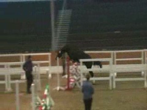 Jument a vendre Desirée 09/20081