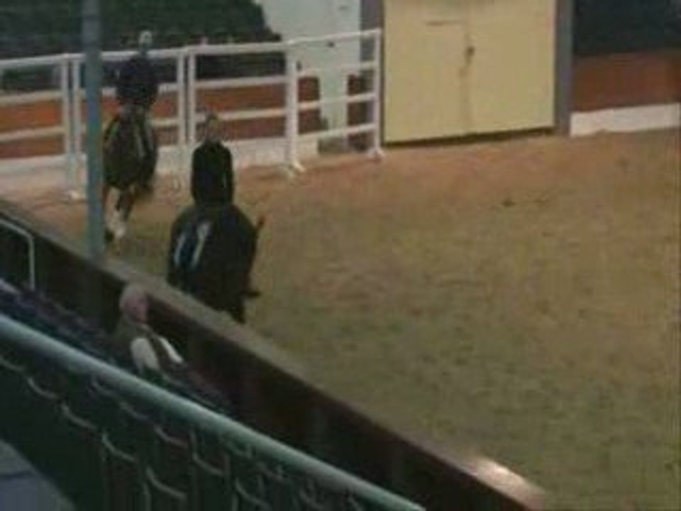 Jument a vendre Desire 2