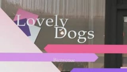 Lovely dogs, vêtements