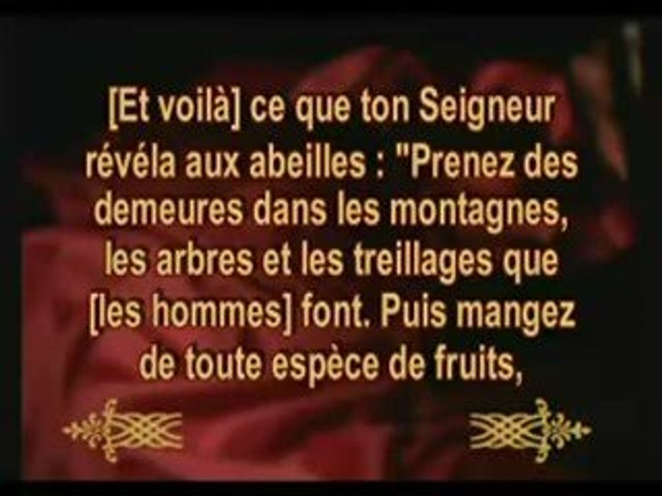LES MIRACLES DU CORAN, L'ABEILLE FEMELLE