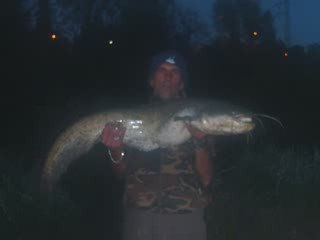 Premiers silures Davidson  2009