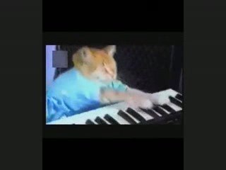 Régis et ses animaux