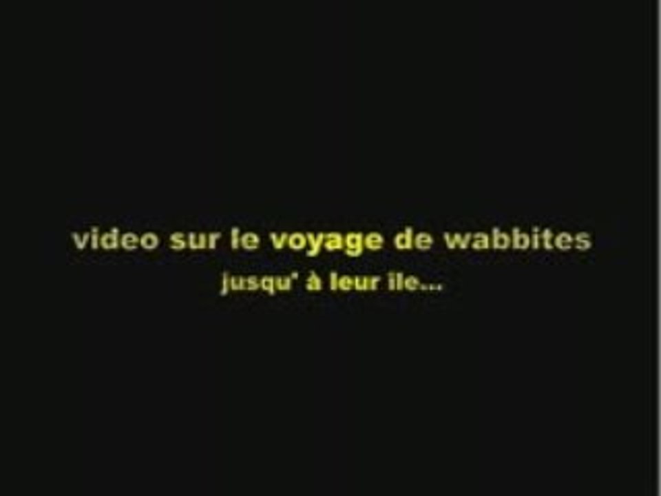 Dofus: l'epopée des wabbites