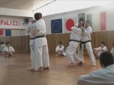 Shihan, Kyoshi Angelo Tosto 7° Dan - Karate Do – STAGE PALIZZI – 2009 - FOTO
