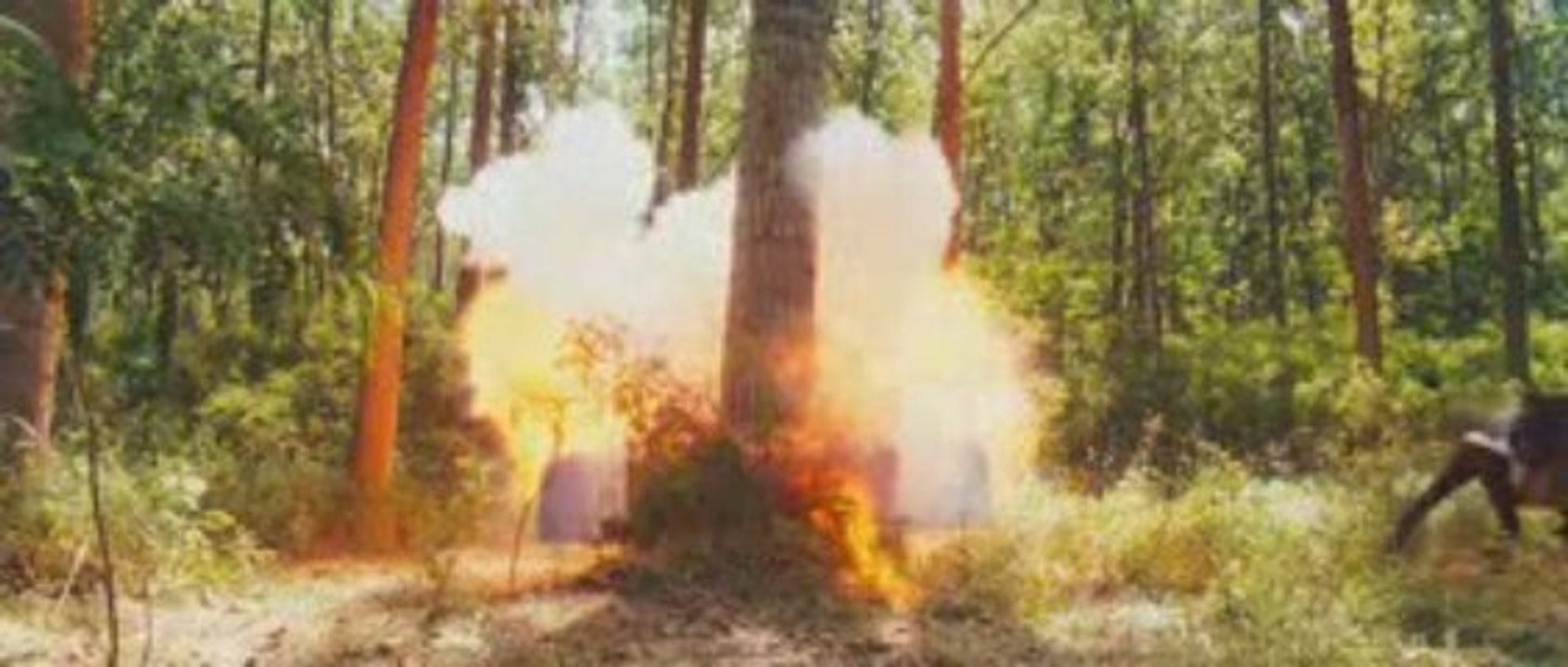 The Brothers Bloom - WATCH FULL MOVIE ONLINE