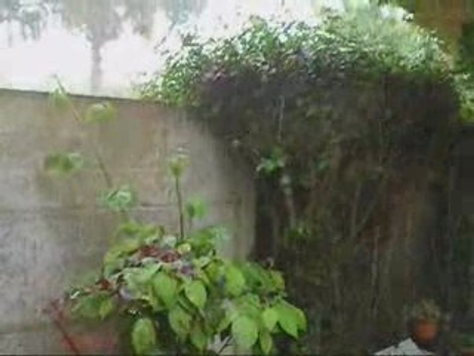 Grêle côté jardin le 13 Mai 2009 en Seine et Marne