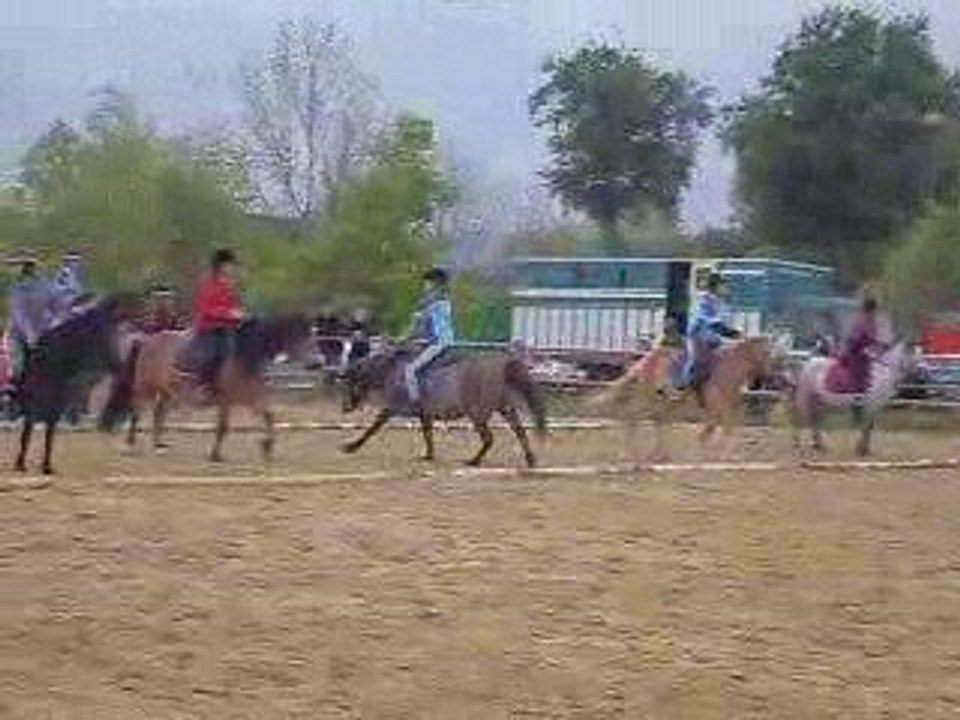 Carton le 8 mai  2009 pony games