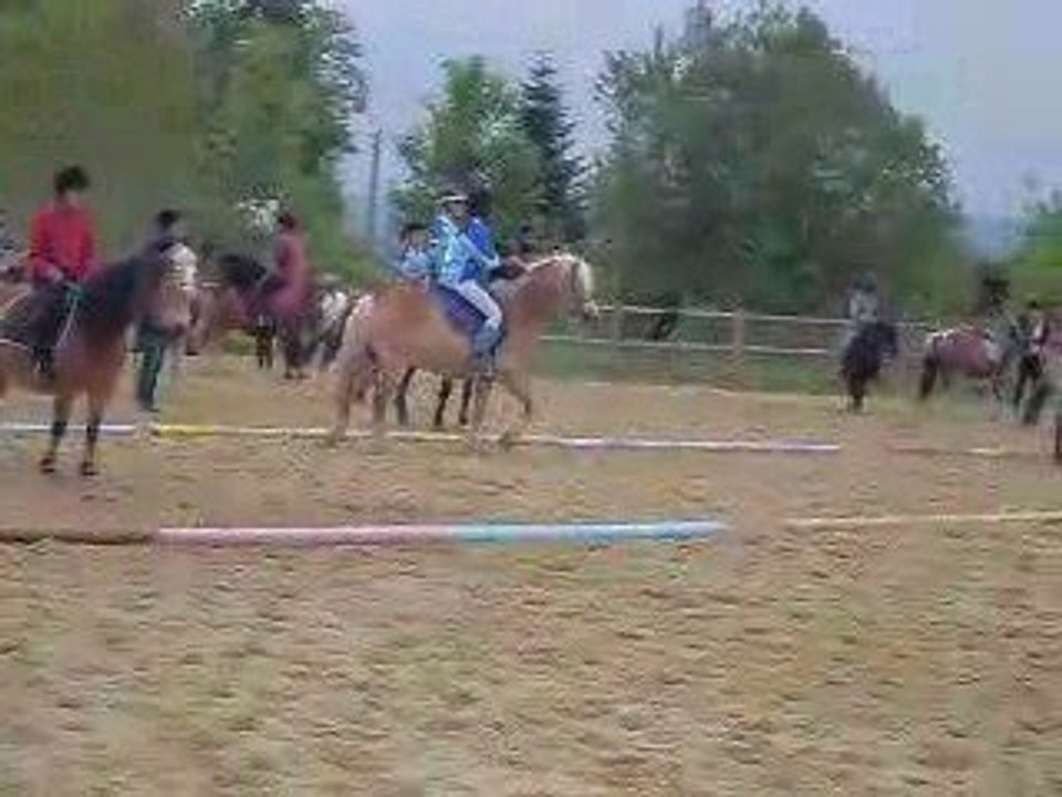 Facteur le 8 mai 2009 pony games