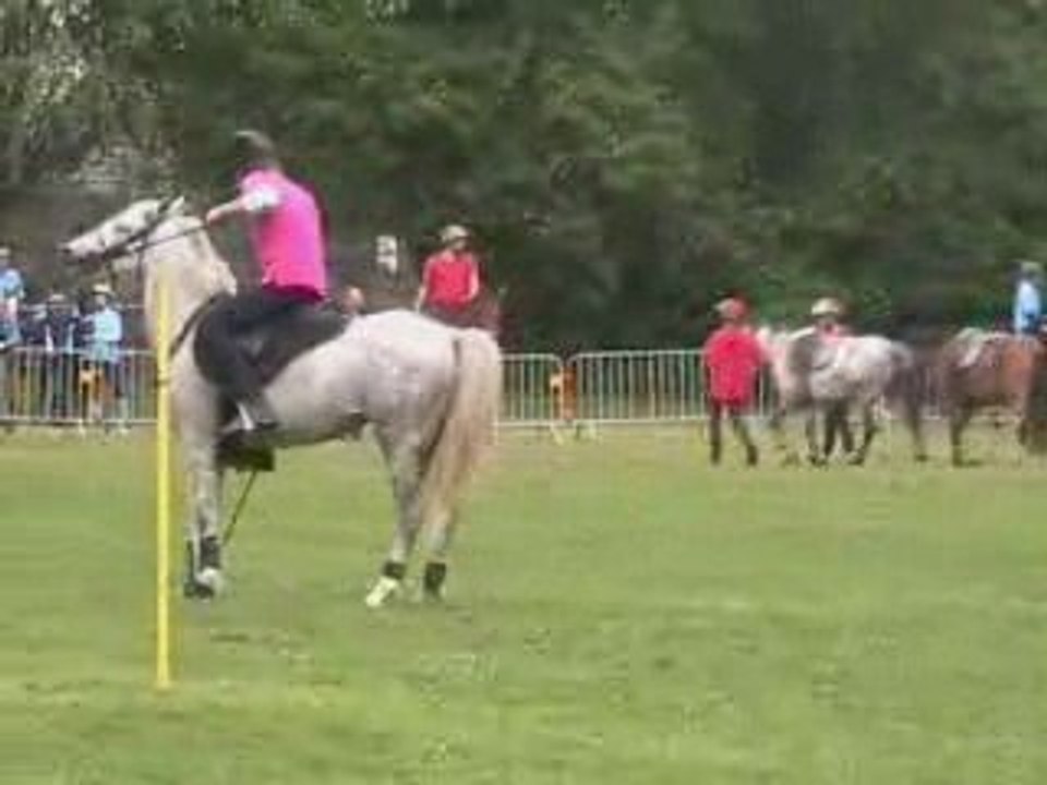 4 drapeaux