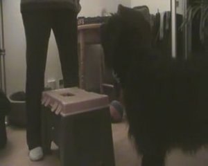 Lola shapping podium