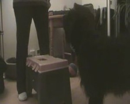 Lola shapping podium