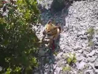 Rando autour du Mt Puget 005