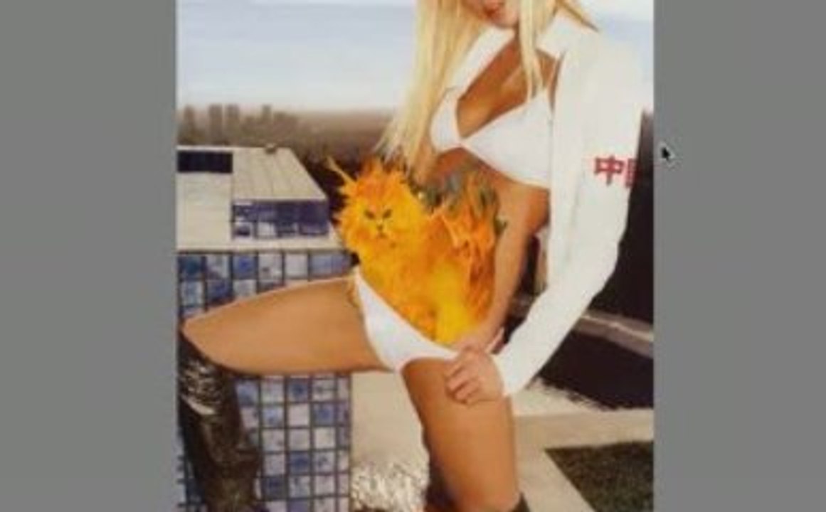Paris Hilton's Phone Number Revealed (Adult)