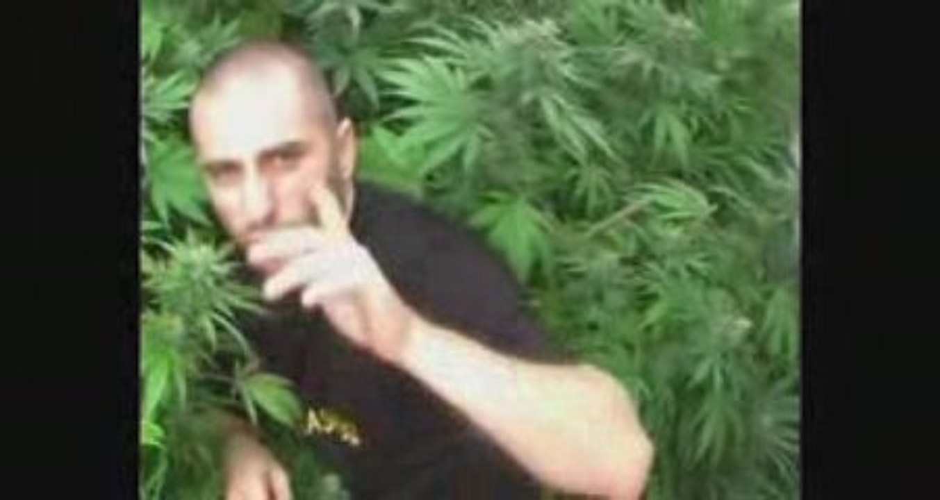 SARKASM "FUCK LAND"