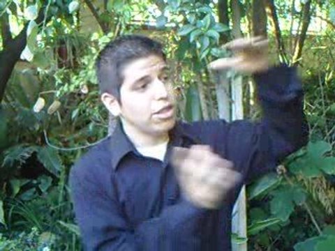 Buy a House in Los Angeles - We Sell Properties!!!