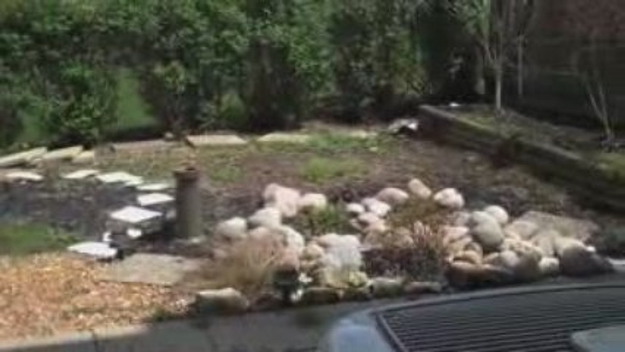 My Grey Garden