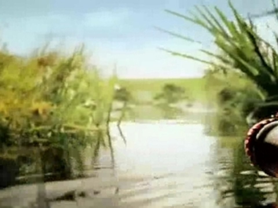 Sample Video