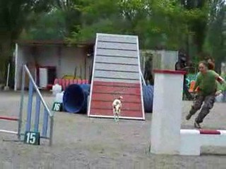 Open agility trélazé 10/05/09  Ambrouille