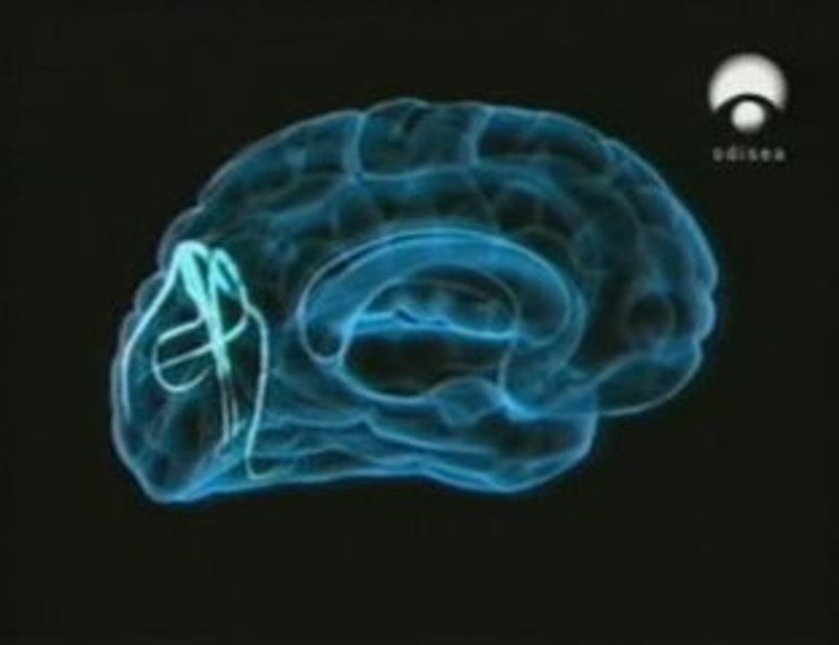 Punteria: Diferencias de genero