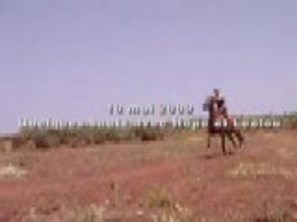 Diane, Hope et Leelou mai 2009 2