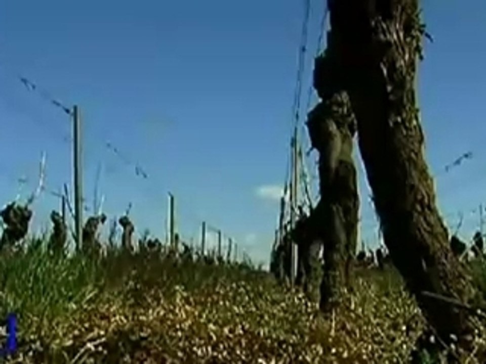 La vendée contre le vin rosé coupé