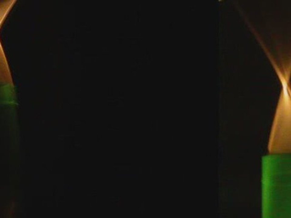 Stäbe Spreeauennacht 2009 reed kinetic