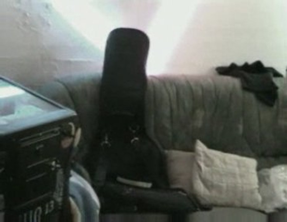 The crooks : Survivor - Eye of the tiger