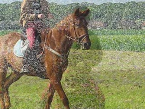 Queila galop 13 mai 2009