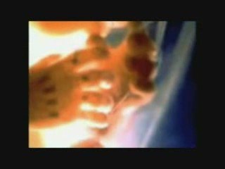 6.Human Embryology - The Divine Book