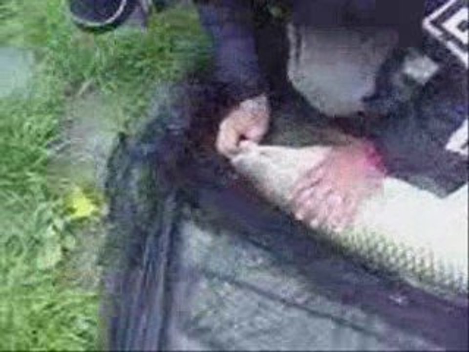 Saiyens a la peche de la carpe