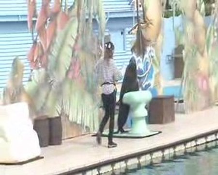 Spectacle des otaries(2)