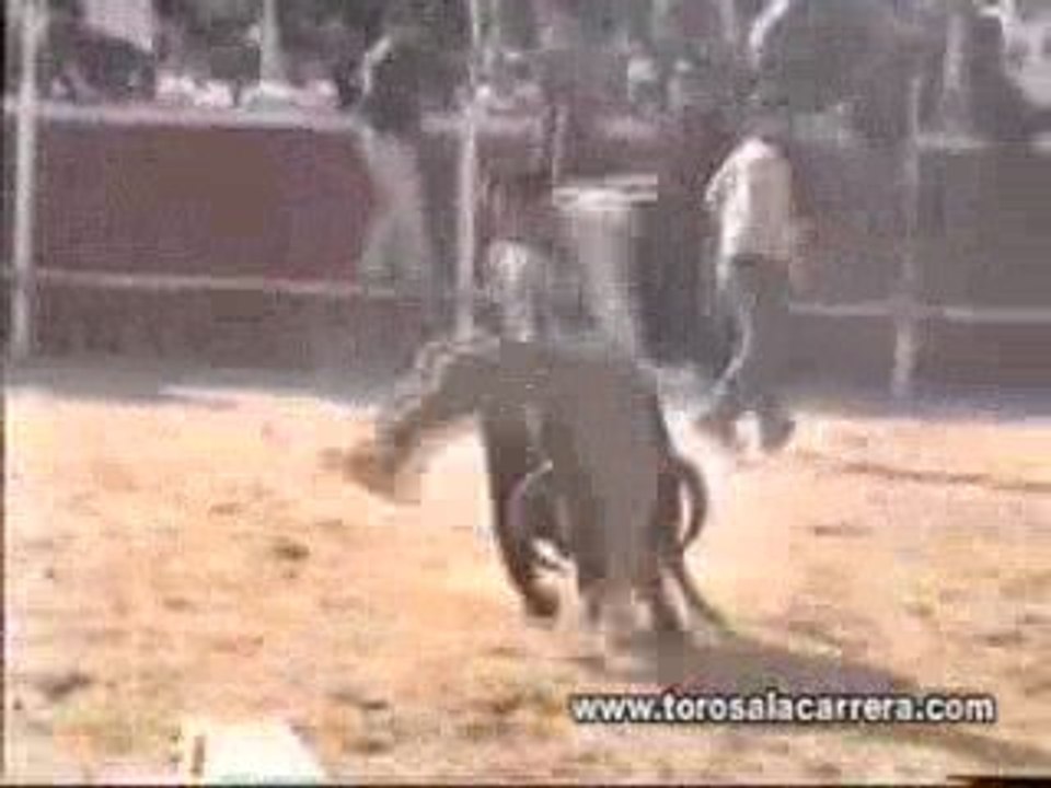 Encierros en Rivas vaciamadrid 2004