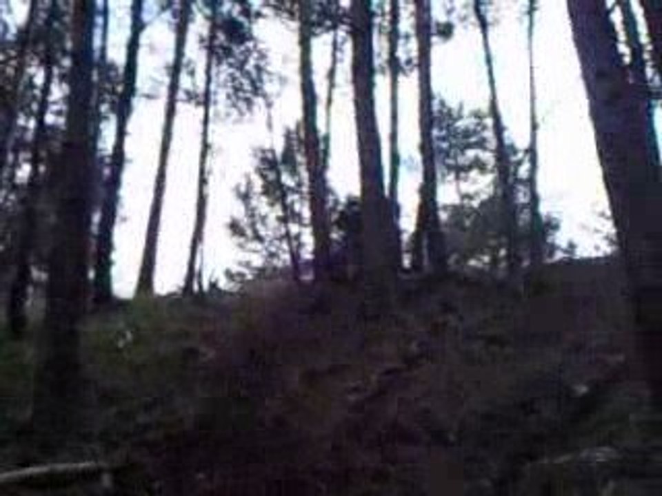 pit bike 150