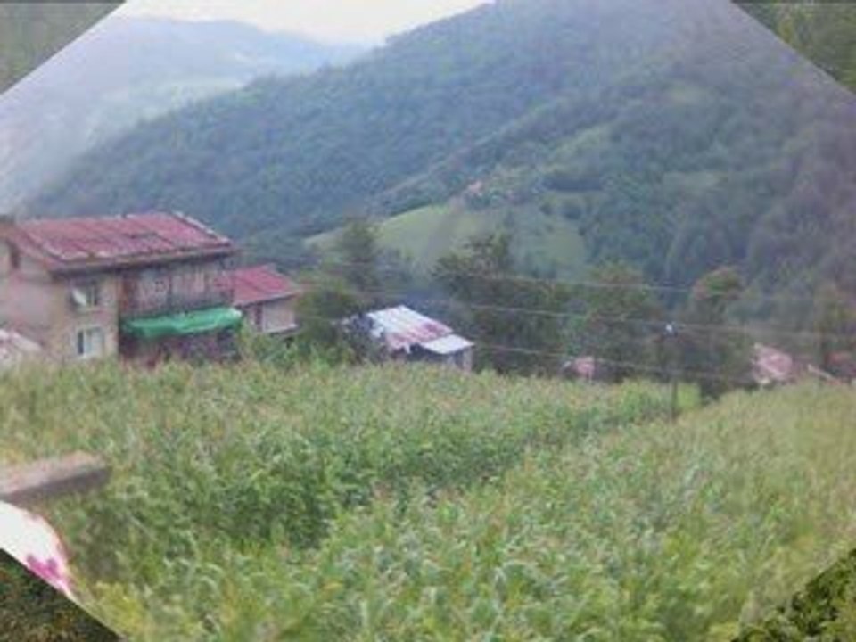 Rüzgarlı Köyü