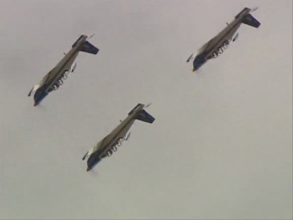 Cartouche Doré - Edition 2008