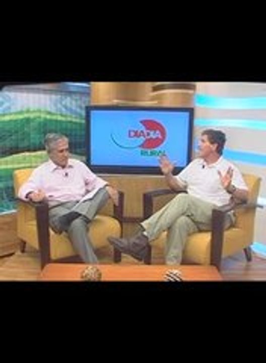 Alimentação de eqüinos com linhaça