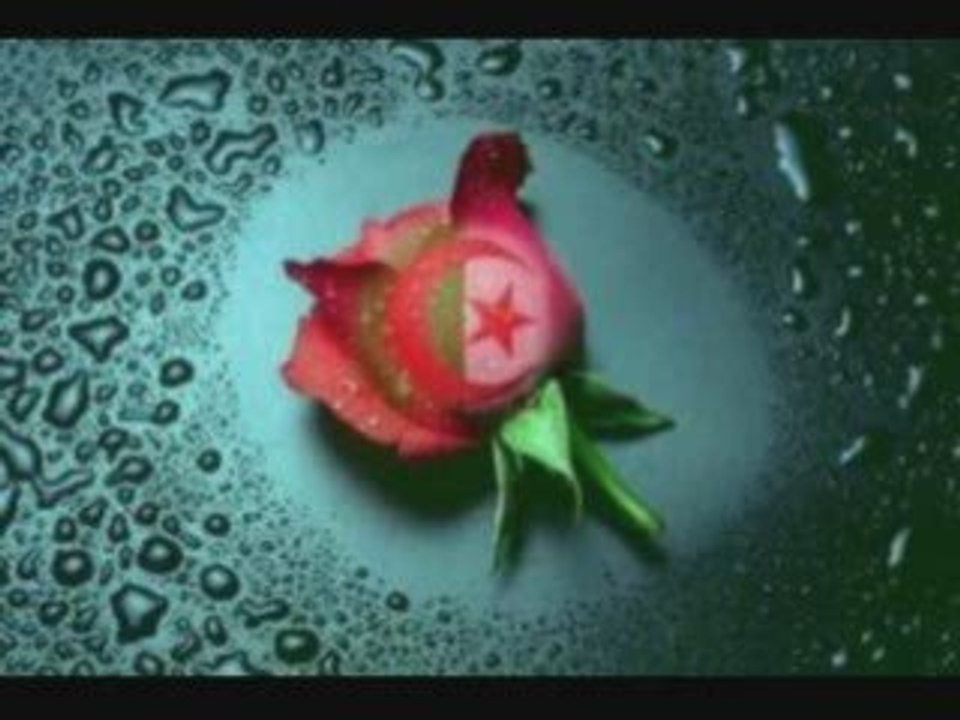 nordine staifi ma nensak