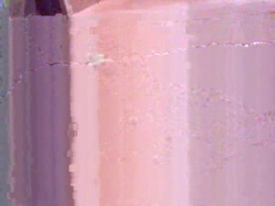 gecko