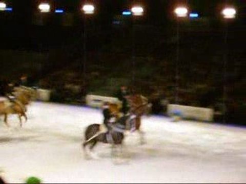 CADRE NOIR DE SAUMUR