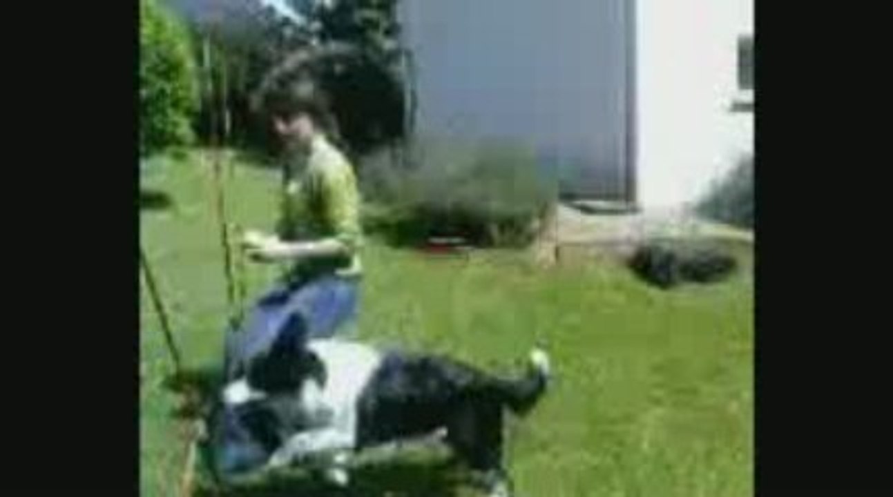 Djune agility