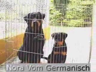 Nora Vom Germanisch: daughters Xandra and Evi