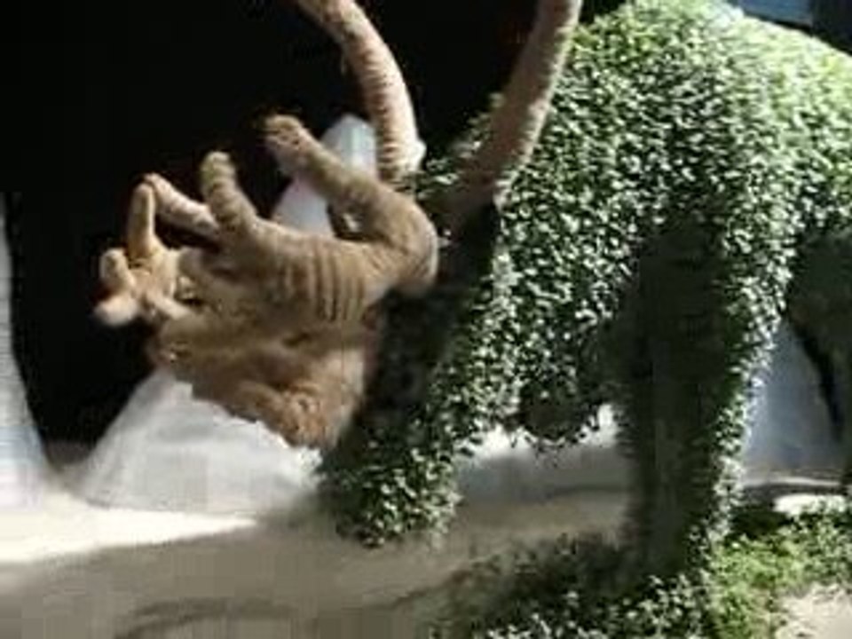 Nantes : Floralies 2009