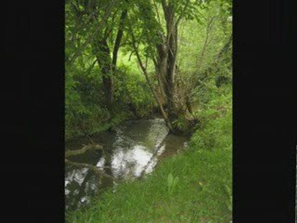 Castelnau video